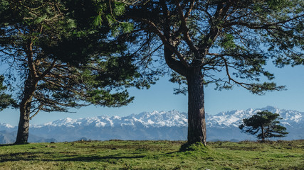 Obraz premium Landscape Asturias