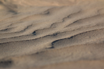 Fototapeta na wymiar Grains of Sand