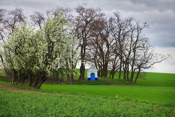 Fototapety na wymiar - Fototapeta24.pl