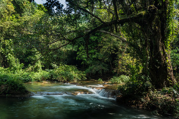 Obraz premium water fall in the forest 