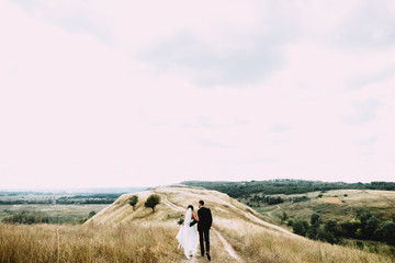 Beautiful newlyweds walking along the path on the field on their wedding day