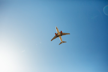 airplane in the sky, bottom view