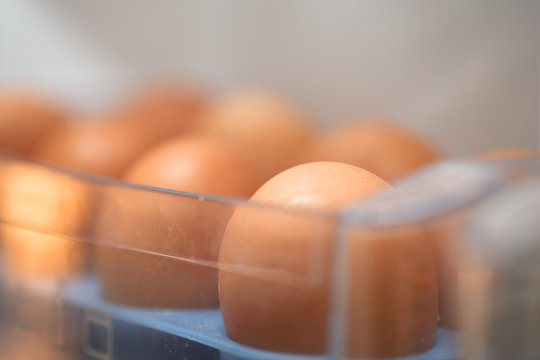 Eggs on fridge shelf, selective focus