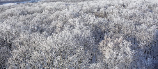 Aerial view of winter forest covered with frost and snow