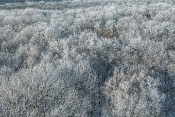 Aerial view of winter forest covered with frost and snow