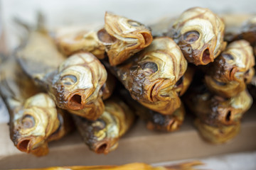 Cold smoked fish. Selective focus on fishes heads. Seafood Industry