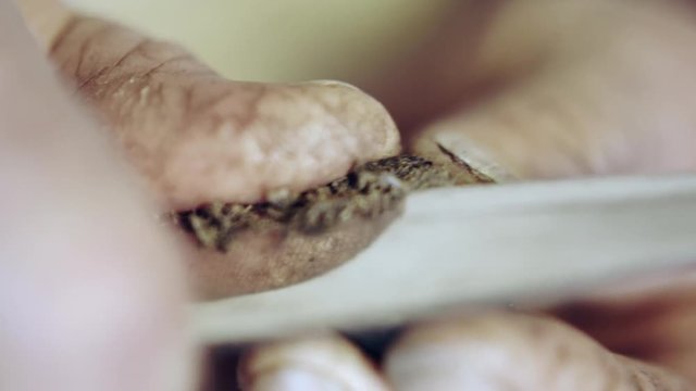 Man preparing a homemade cigarette