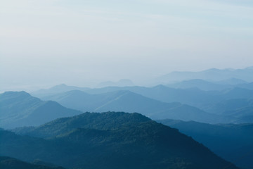 Nature landscape mountain forest, Morning spring countryside in Phu tub berk, Thailand