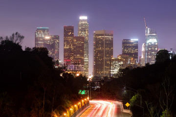 Fototapeta na wymiar Los Angeles Skyline from Elysian Park