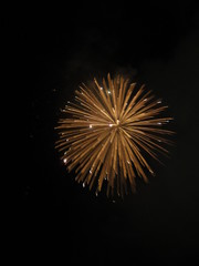 Fototapeta premium Año Nuevo