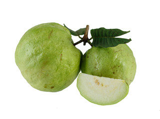 Group of Guava