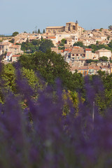 Village and lavender in Provence