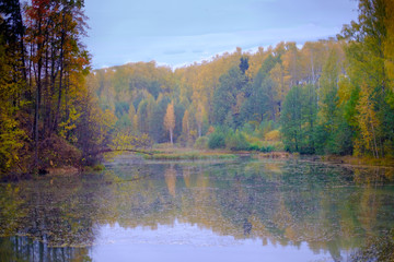 Fototapeta premium Beautiful views of autumn forest landscape near the river.