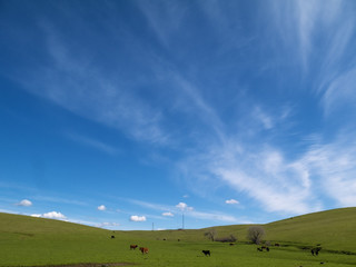 Folsom Ranch Sky
