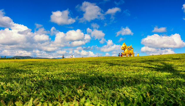 Singha Park the famous agriculture tourist destination in Chiang Rai province. Golden Lion statue logo in Boonrod farm or singha park to visit Chiang Rai. On January 02 2018.