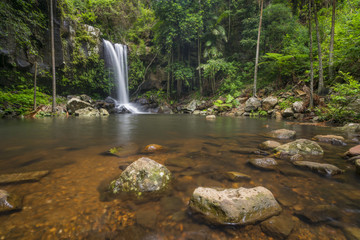 Curtis Falls is a popular tourist destination on Mount Tamborine in the Gold Coast hinterland,...