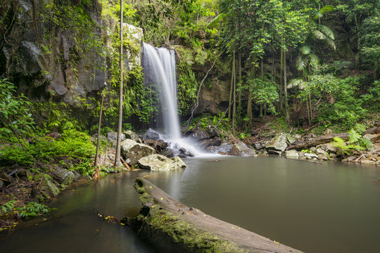 Curtis Falls is a popular tourist destination on Mount Tamborine in the Gold Coast hinterland, Queensland, Australia.