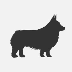 Illustration drawing style of dog