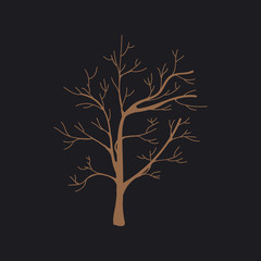 Illustration of plant