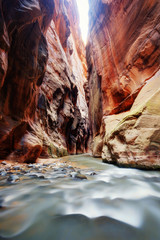 The Narrows Zion National Park