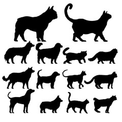 Illustration drawing style of animals collection