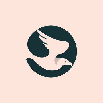Eagle logo, flying hawk, falcon wing logo vector element