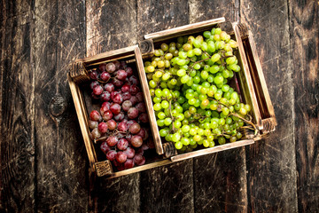 fresh harvest of grapes in boxes. © Artem Shadrin