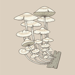 Vector of mushroom