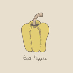 Vector of a bell pepper