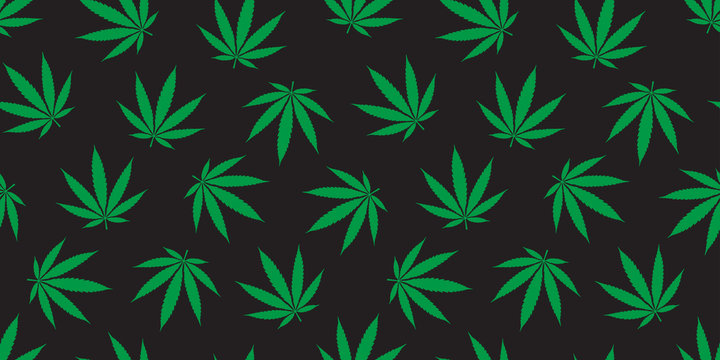 Weed seamless pattern Marijuana vector cannabis leaf wallpaper background isolated green