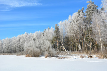 Russia. Winter landscape