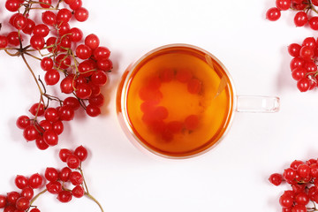 калина ягода свежая лежит на белом фоне  