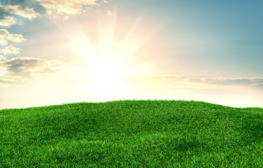 Fototapeta na wymiar Image of green grass field and bright blue sky