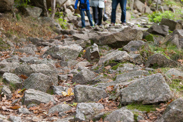 steiniger Wanderweg im Harz