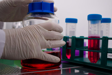 Hands on a cell medium in a hepa filtered cabinet 2