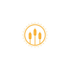 Golden wheat ears, agriculture vector element, organic bakery logo design