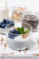 healthy breakfast with chia-pudding and fresh blueberries, vertical