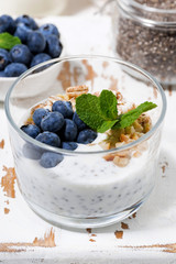 healthy breakfast with chia-pudding and fresh blueberries, vertical closeup