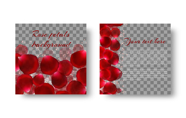 A leaflet template with flying rose petals on a transparent backdrop. A festive background for congratulations on Valentine's Day.
