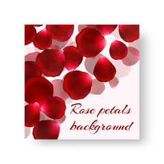 Romantic style brochure cover with gorgeous red rose petals