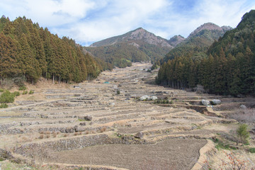 四谷の千枚田