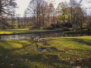 Autunno all'Englisher Garten, Monaco di Baviera