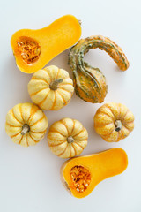 pumpkins on the white background