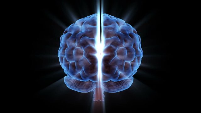 Brainstorm 104: A rotating human brain electrically charged with thought (Loop).