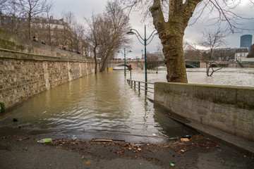 Flood of the Seine 2018 in Paris France