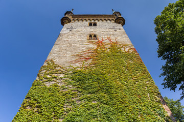 Ivy climbing the tower of the Marien church in Warendorf