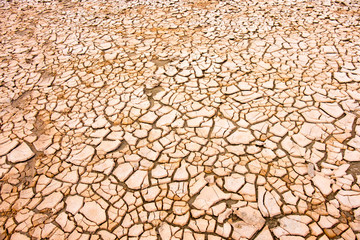 Dry soil in cracks. Concept of climate change