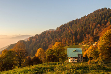 Passabocche - Autunno