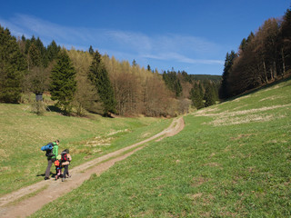 Fototapeta na wymiar Familie wandert in ein grünes Tal im Thüringer Wald