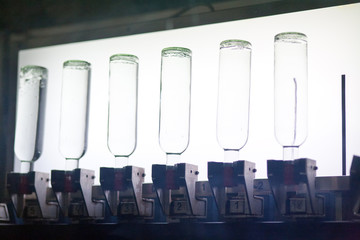 Manufacture of vodka. conveyor with glass bottles.